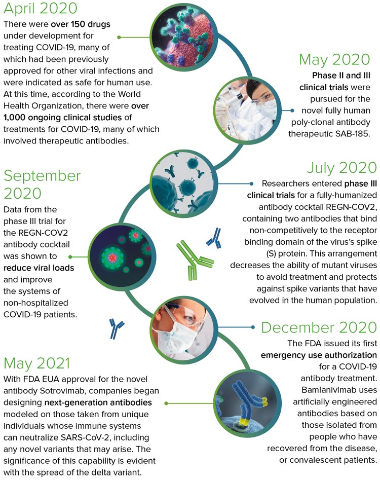 COVID-19 Antibody discovery and cell line development