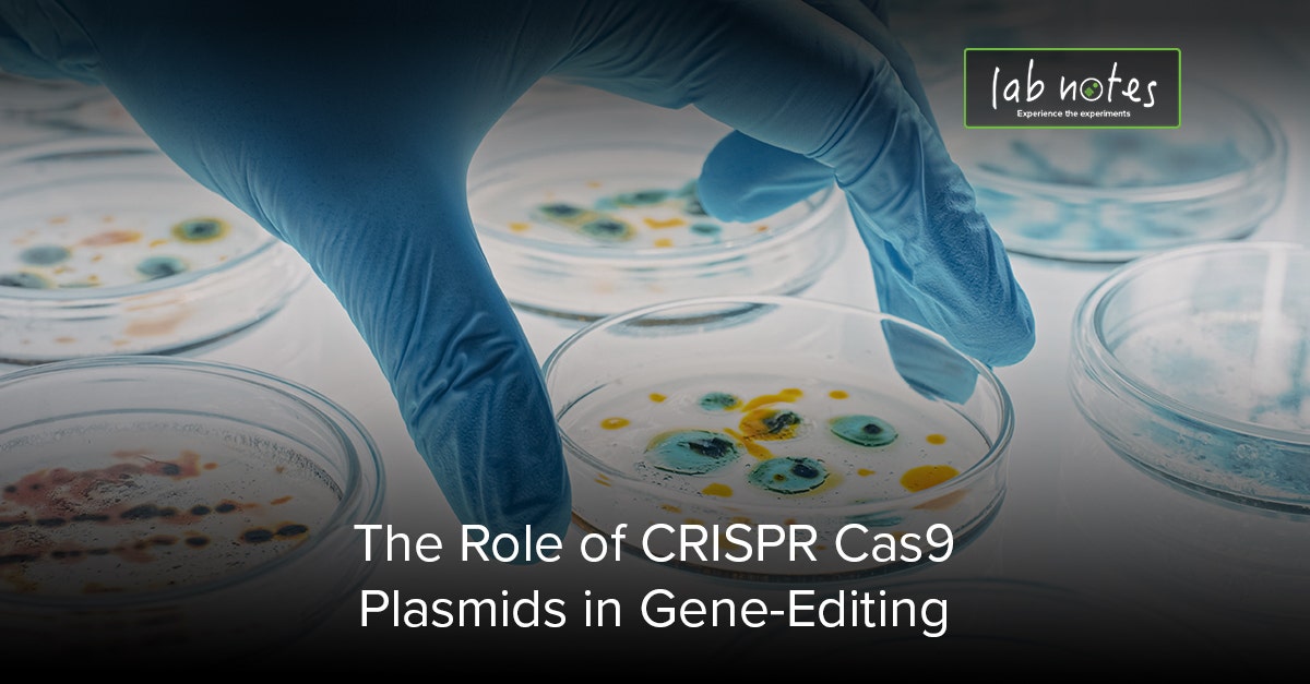 Role of CRISPR Cas9 Plasmids in GeneEditing
