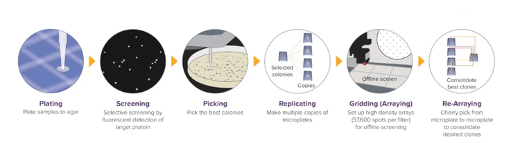 automated colony picker