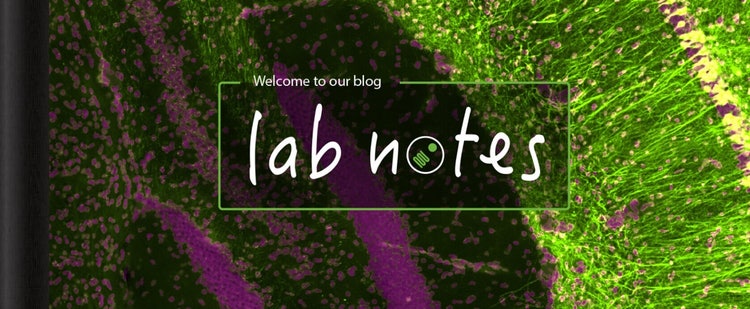 Lab Notes