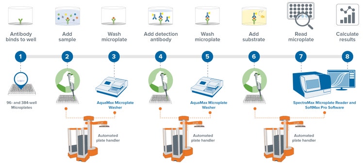 automated plate handling system