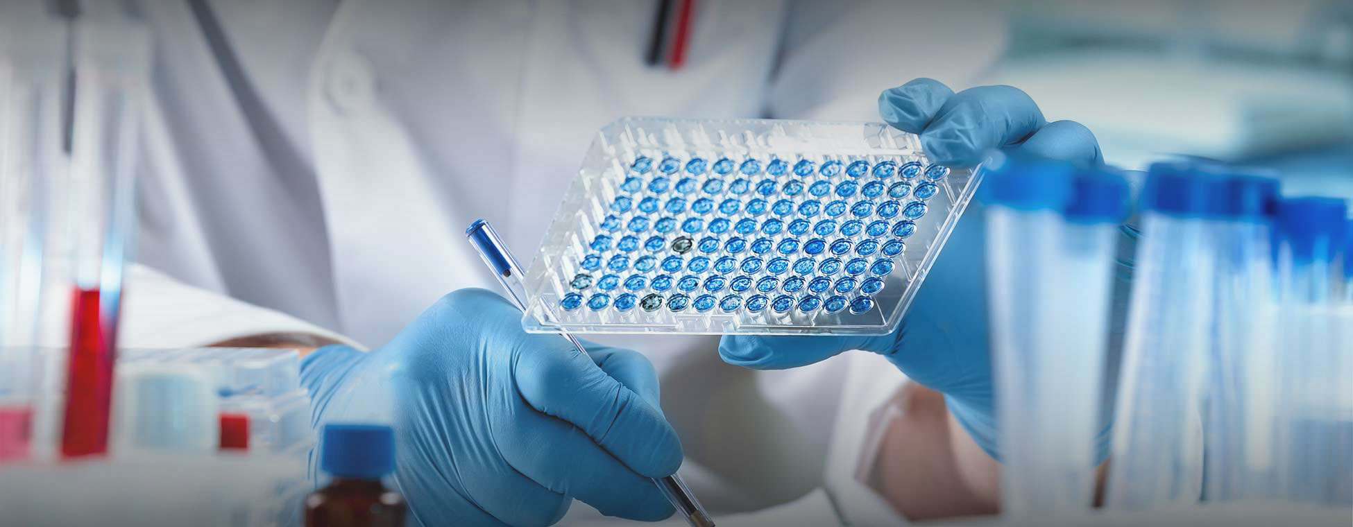 Élisaページ Microcystins (Adda specific) ELISA kit - Enzo