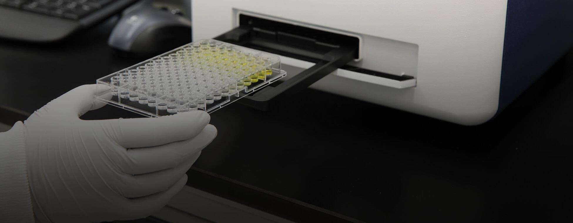 The History of ELISA from its Creation to COVID-19 Research