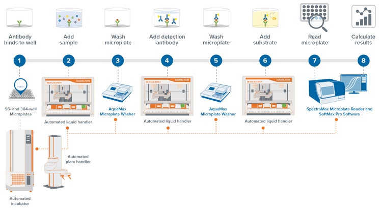 Capture True 3D Cell Culture Insights