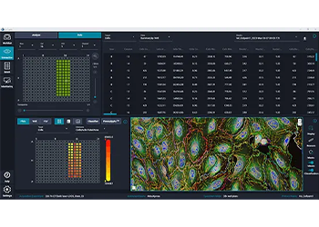 IN Carta Image Analysis Software | Molecular Devices