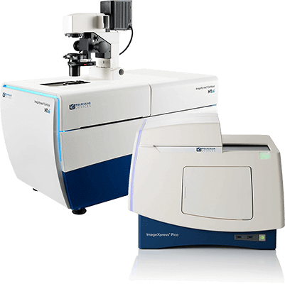 Automated solutions for high-throughput, high-content screening