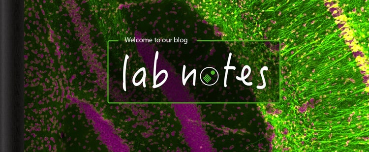 Lab Notes