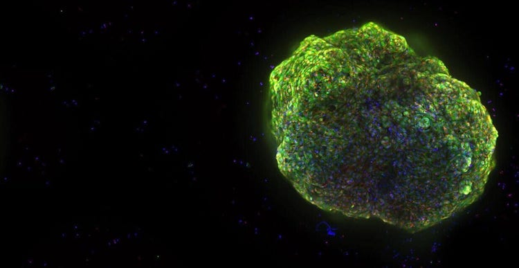 State of the art automated 3D imaging workcell