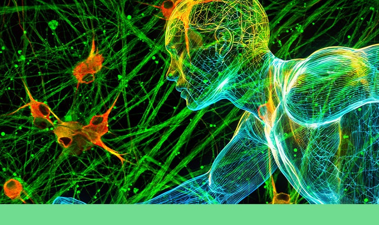 Validating Next-Gen Therapeutics