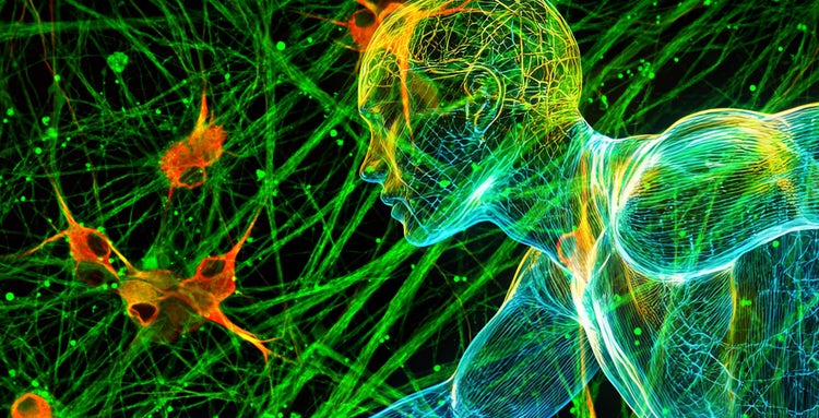 Validating Next-Gen Therapeutics