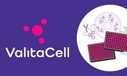 ValitaTiter IgG quantitation assay