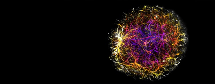 Scientific Discovery