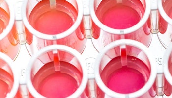 Cell-Based Assay
