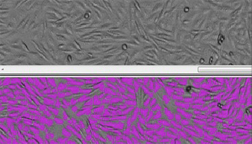 HMGCMEページ SpectraMax MiniMax Imaging Cytometer | Molecular Devices