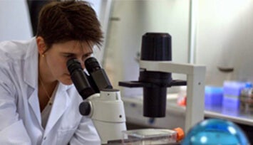 Scientist working on Image Analysis