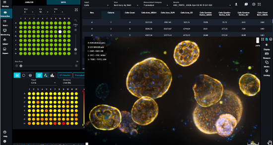 3D live-cell imaging