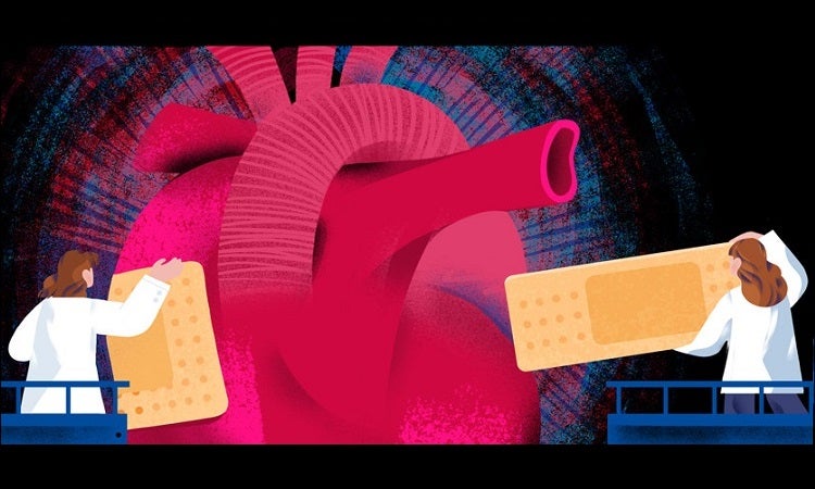 Cardioids of drug discovery