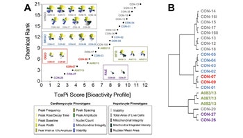 Prototype Approach for Evaluating Chemical Alternatives