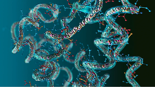 Protein Purification