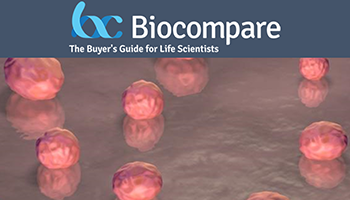 3D Imaging of Organoid Cultures