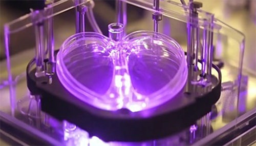 Promise and Challenges of Organoids in Disease Research