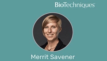 Merrit Savener