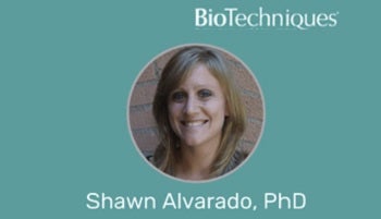 Shawn Alvarado