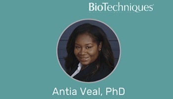 Antia Veal