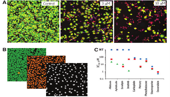 High-Content Assays for Hepatotoxicity