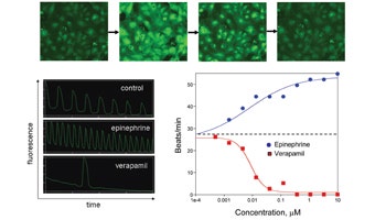 Multiparameter In Vitro Assessment of Compound Effects