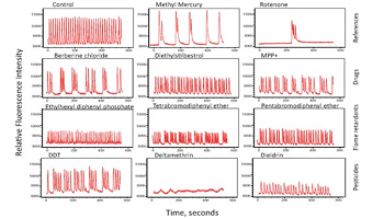 Functional and Mechanistic Neurotoxicity Profiling