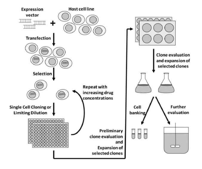 Molecular Devices News Image Three
