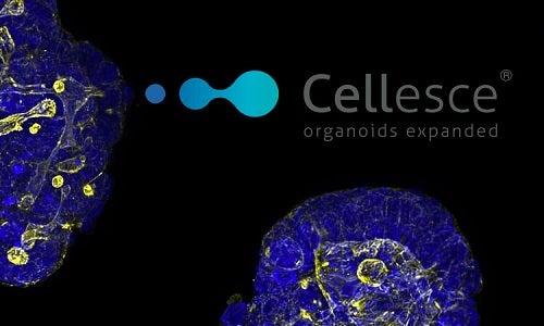 Cellesce Organoid