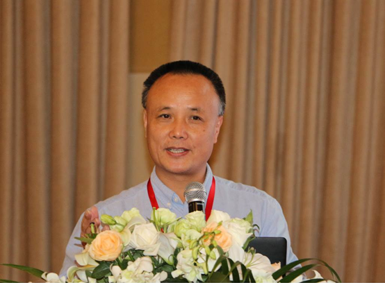 Professor Huang Zebo