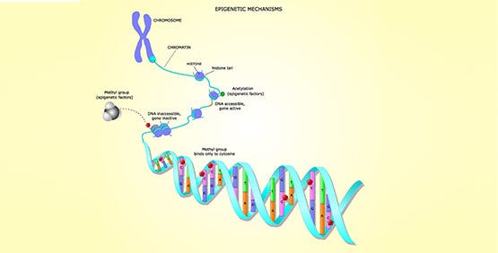 GenePix Microarray Systems | Molecular Devices GenePix Microarray Systems | Molecular Devices