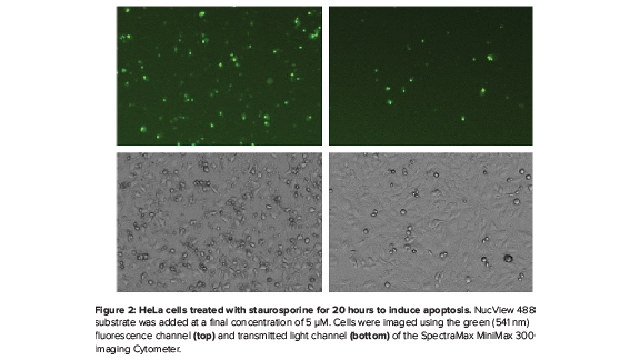 EarlyTox Cell Viability Assay Kits | Molecular Devices