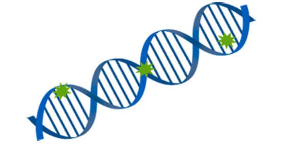 ZymoBIOMICS DNA Binding Buffer | ZYMO RESEARCH