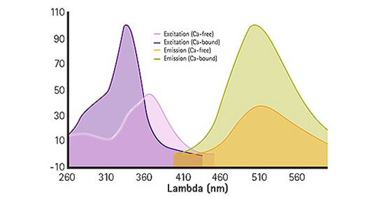 Fura-2 QBT Calcium Kit | Molecular Devices