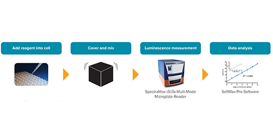 SpectraMax Glo Steady-Luc Reporter Assay Kit | Molecular Devices