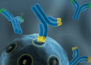 Monoclonal Antibodies (mAbs)