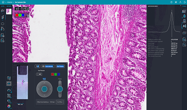 Live Preview Identify regions of interest quickly and easily
