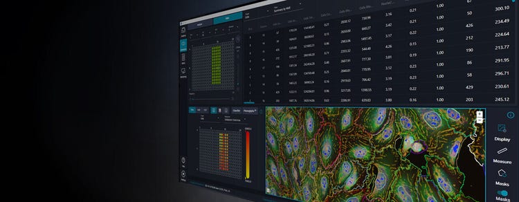 IN Carta Image Analysis Software