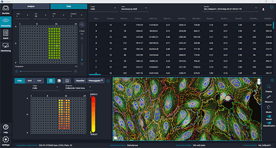 IN Carta Image Analysis Software