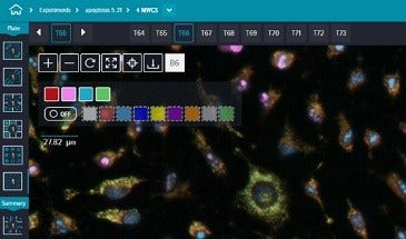 Multi-wavelength Cell Scoring Features multi-wavelength cell scoring with up to four fluorescent stains