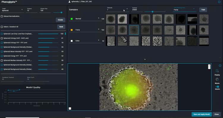 Classification of spheroids formed from HCT116 cells