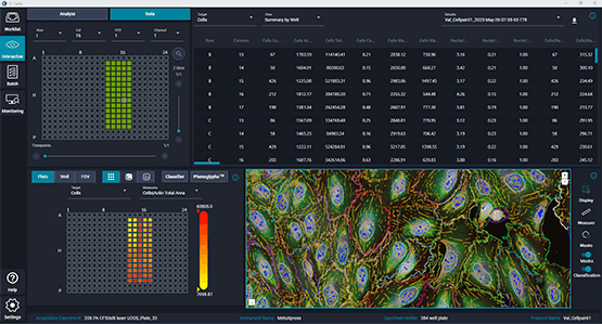 IN Carta image analysis software