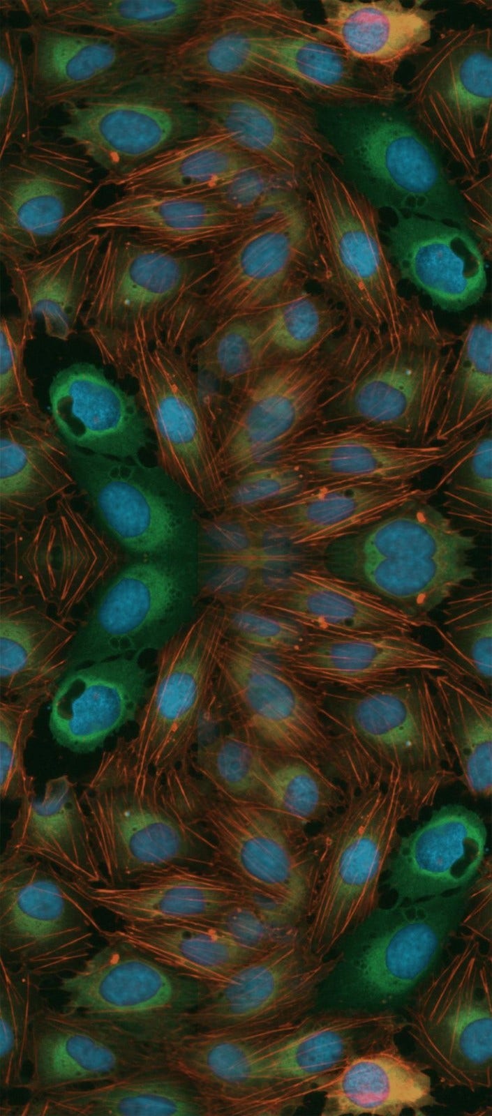 Cell Painting