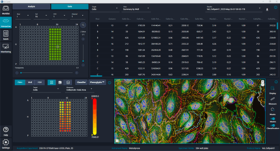 IN Carta image analysis software