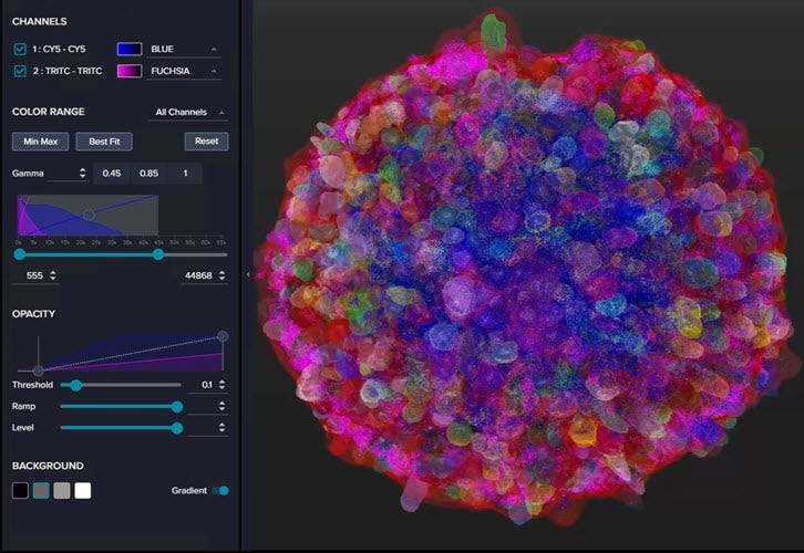 Spheroid mask in 3D viewer in IN Carta Image Analysis Software