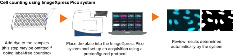 Cell counting using automated cell imaging workflow